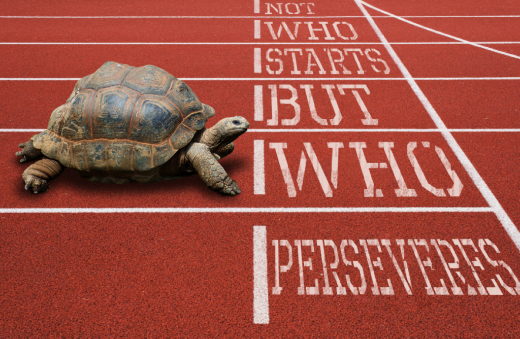 Choose weight loss or fitness bootcamp. We are here to help you succeed. Like the tortoise, slowly and surely, you will win